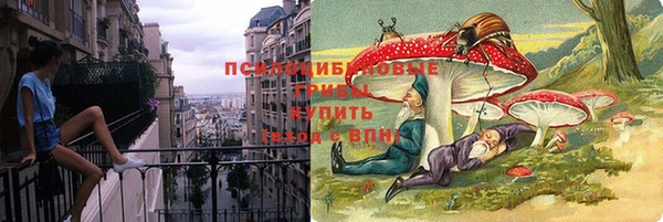 прущая мука Медвежьегорск