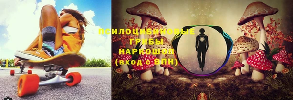 PSILOCYBIN Волосово