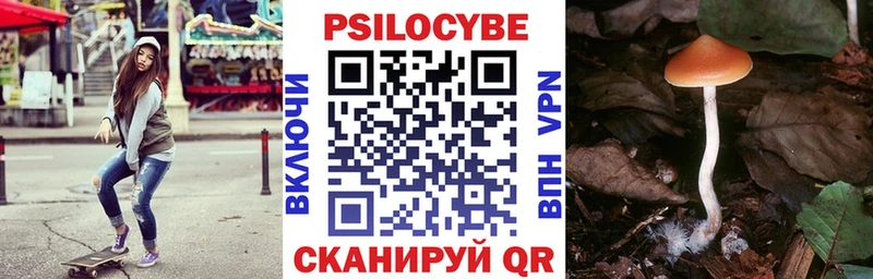 кракен ссылки  Сертолово  Галлюциногенные грибы прущие грибы 