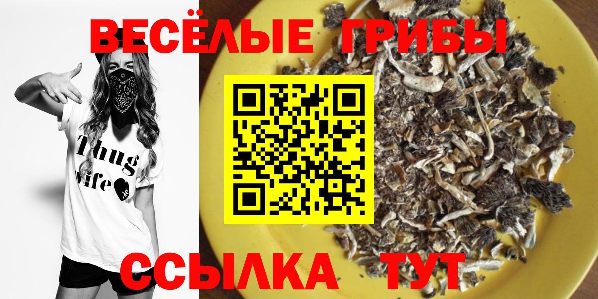 Галлюциногенные грибы прущие грибы  Псилоцибиновые грибы прущие грибы  Сертолово  Вход с VPN 