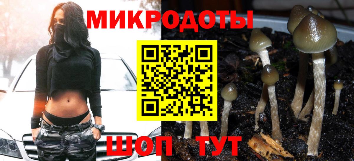 Галлюциногенные грибы GOLDEN TEACHER Сертолово