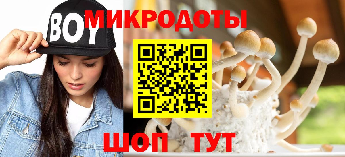 Псилоцибиновые грибы GOLDEN TEACHER  Сертолово 